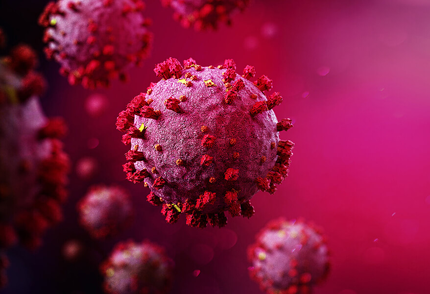 The website of the Royal Melbourne Hospital…